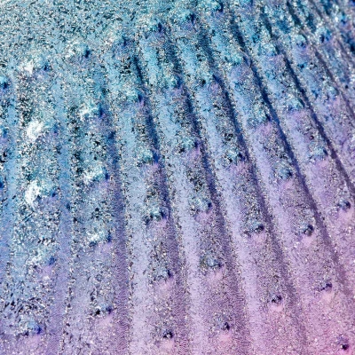 Pędzel do Odpylania Paznokci w Trakcie Manicure - Muszla