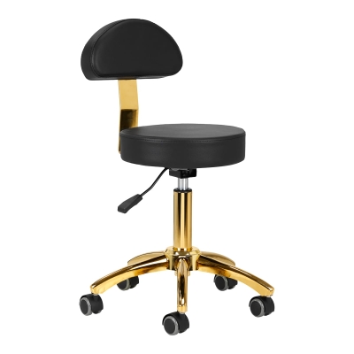 Taboret Kosmetyczny z Oparciem AM-304G