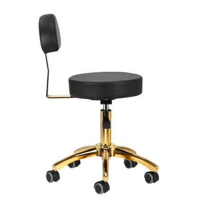 Taboret Kosmetyczny z Oparciem AM-304G