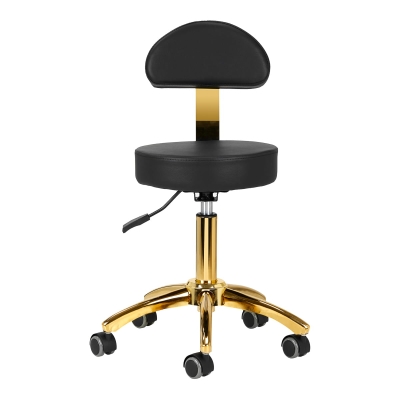 Taboret Kosmetyczny z Oparciem AM-304G