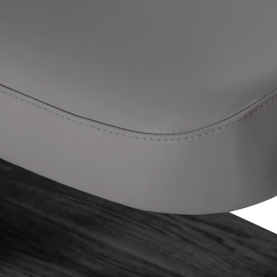 SILLON-10 8080 