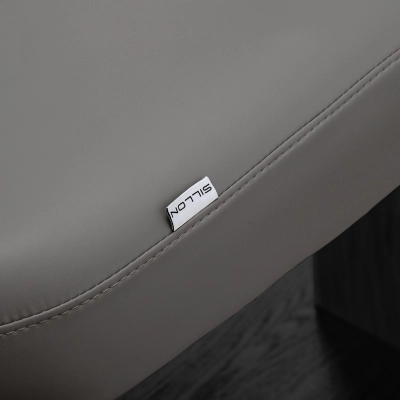 SILLON-18 8080 